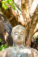 Stone Buddha sculpture meditating with closed eyes outdoors under trees with dappled sunlight over it.