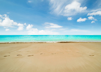 Fototapeta na wymiar Tropical beach and sea