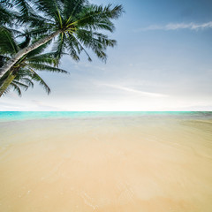 Tropical beach and sea