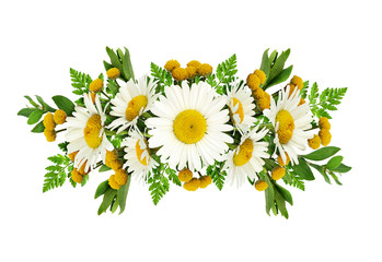 Daisy flowers arrangement