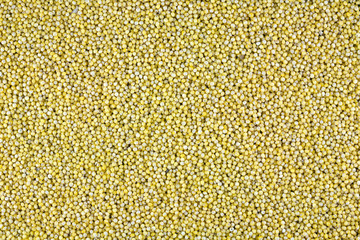 Closeup of millet for background