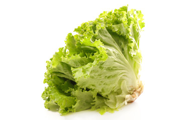 green lettuce