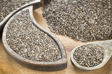 Chia seeds - Salvia hispanica