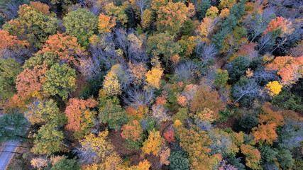 Fototapeta na wymiar Aerial autumn colors