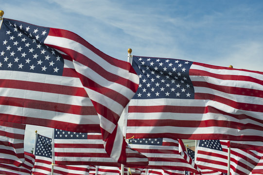 Field Full of Waving American Flags
