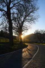 Fototapeta premium Sunset on the road between trees and fields 