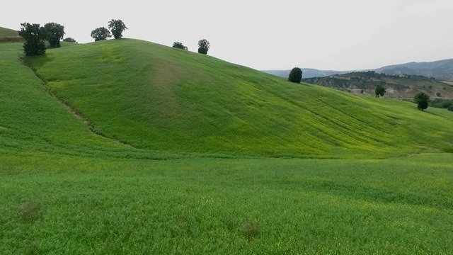 collina prato - vista aerea 