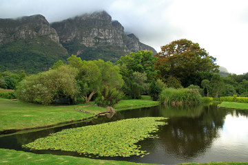 Fototapeta na wymiar Kirstenbosch National Botanical Garden, Cape Town, South Africa