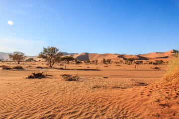 Fototapeta na wymiar Sand dunes in the Namib desert.