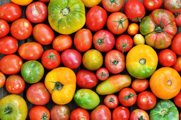 Different maturity degree fresh farm tomatoes