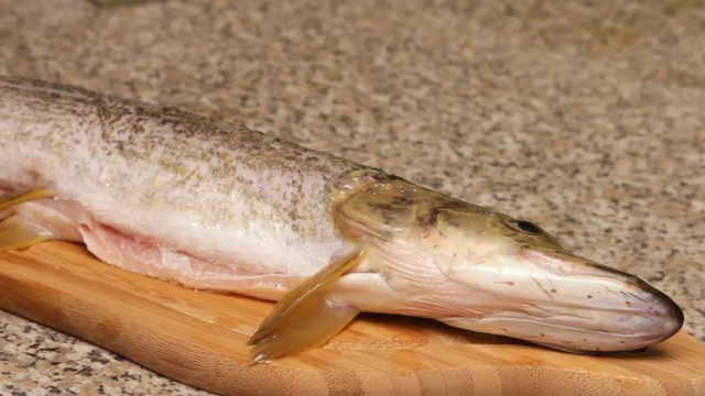 Washing and cleaning of fish.