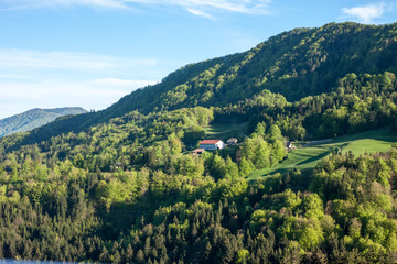 view on green hill with forest and field