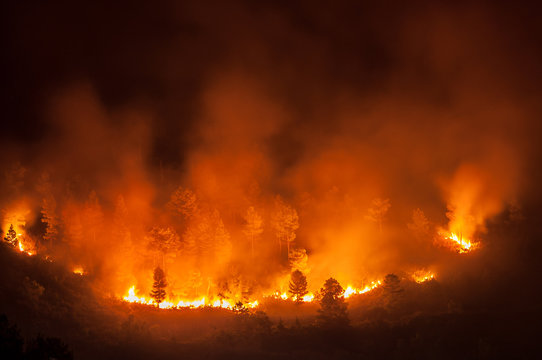 Forest fire, several hectares of pine trees burned during the dry season in June 2013 in Tele-Samosir Lake Toba (Danau Toba) North Sumatra (Sumatera Utara) Indonesia