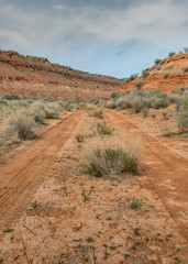 Desert Dirt Road