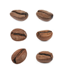 Single coffee bean isolated