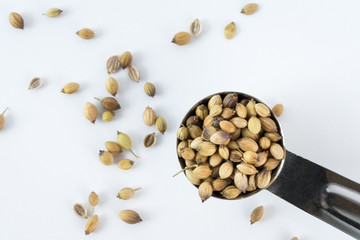 Coriander Seeds Spilled from a Teaspoon