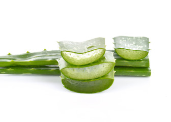 Aloe vera on a white background