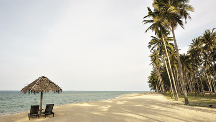 view of trees on the beach during the day