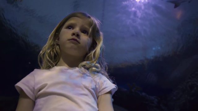 Portrait Of Little Girl As Blacktip Shark Swims Overhead In Aquarium Tunnel