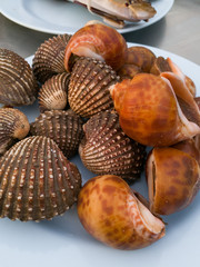 Delicious boiled or steamed cockles