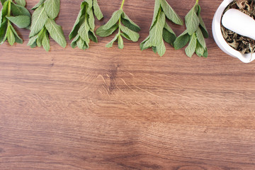 Natural green and dried mint with mortar, concept of healthy lifestyle, copy space for text