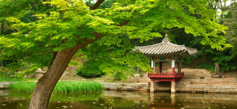 Changdeokgung Palace Secret Garden in Spring, in Seoul, South Korea, Asia