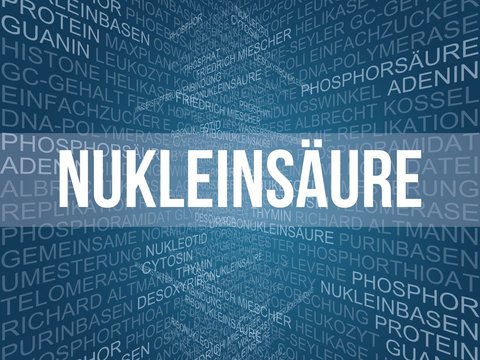 Nukleins&auml;ure