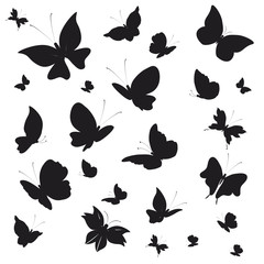 Fototapeta premium 1952