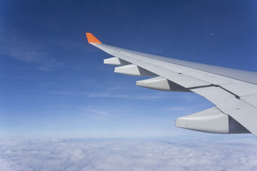 Obraz premium Fliegen