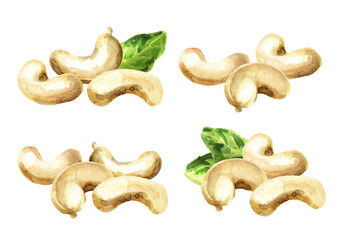 Cashew compositions. Watercolor