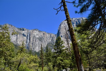 Fototapeta premium Yosemite National Park Landscape California