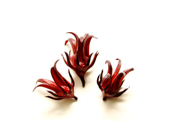 Roselle fruit in white background