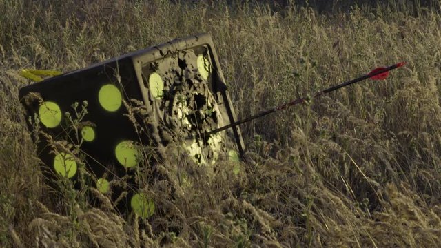 Closeup Of Arrow Hitting A Crossbow Target