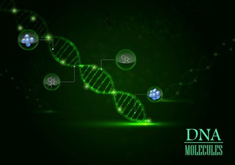 Dna concept on green light background