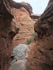 Crevice in the Canyon
