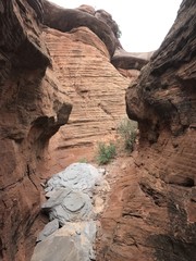 Crevice in the Canyon 2