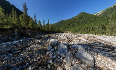Wide Aero panorama mountain river flows into the forest between the stones.