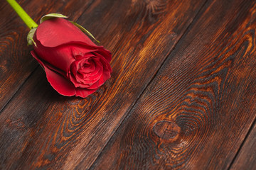 Beautiful red rose on wooden table, romantic background, copyspace