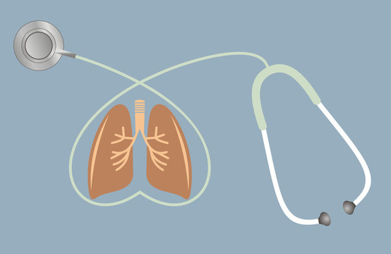 Lungs and stethoscope in shape of heart. Lungs healthcare concept. Flat design.