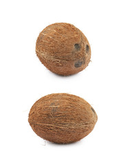 Single whole coconut isolated