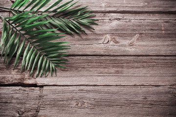 exotic leaves on old wooden background
