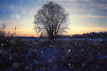 Fototapeta na wymiar Fresh snow winter background in nature