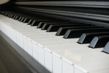Naklejka premium Keyboard of the Piano