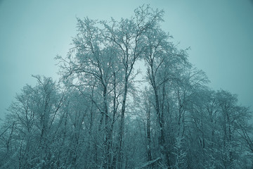 Fototapeta na wymiar Winter landscape in Russia