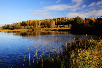 Autumn forest lake sky