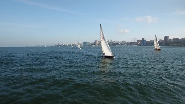 Sailing boats sails ships yachts regatta championship. Vladivostok panorama Russia. Blue water sea ocean modern buildings. Summer sunny day. Fast Aerial flight to city embankment 4k