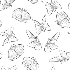 Beautiful butterfly flying coloring book. Seamless pattern with insect.