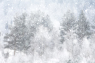 Blurred background defocus