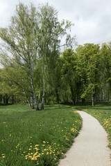 Summer day in park with trees and benches