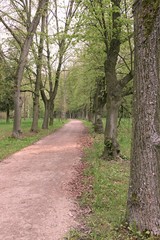 Summer day in park with trees and benches